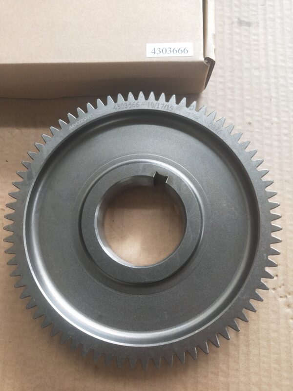 Transmission Gear