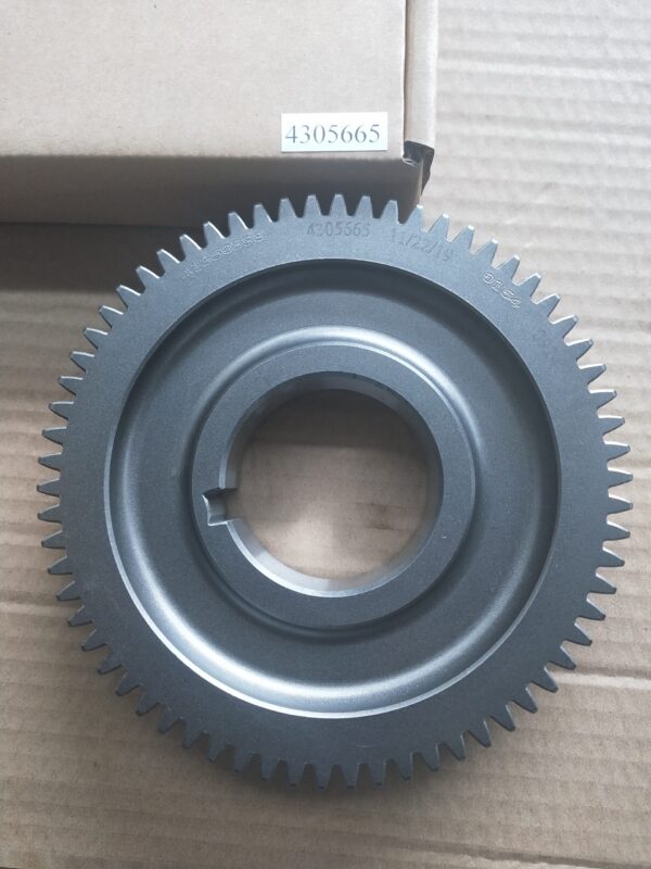 Transmission Gear